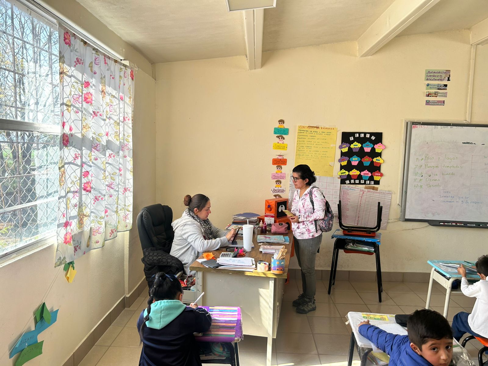 Observa Gerencia Occidente de FEGTO nuestro programa Alimenta